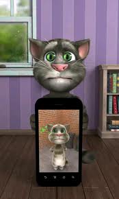 tai meo tom